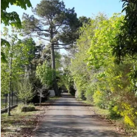 Pleasant With Garden Near The Golf Course